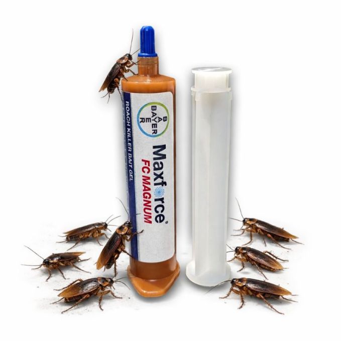 Гель Максфорс