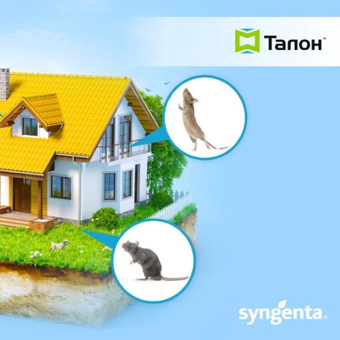 Воскові брикети від мишей та щурів Talon 10кг.